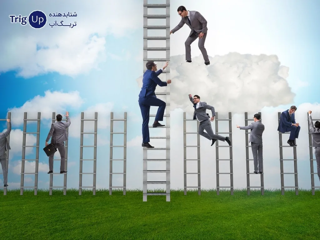 board of directors in a startup