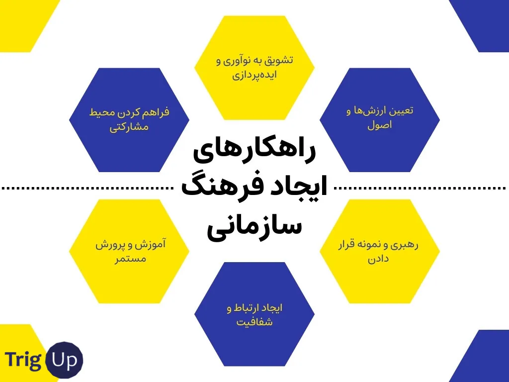 creating organization culture