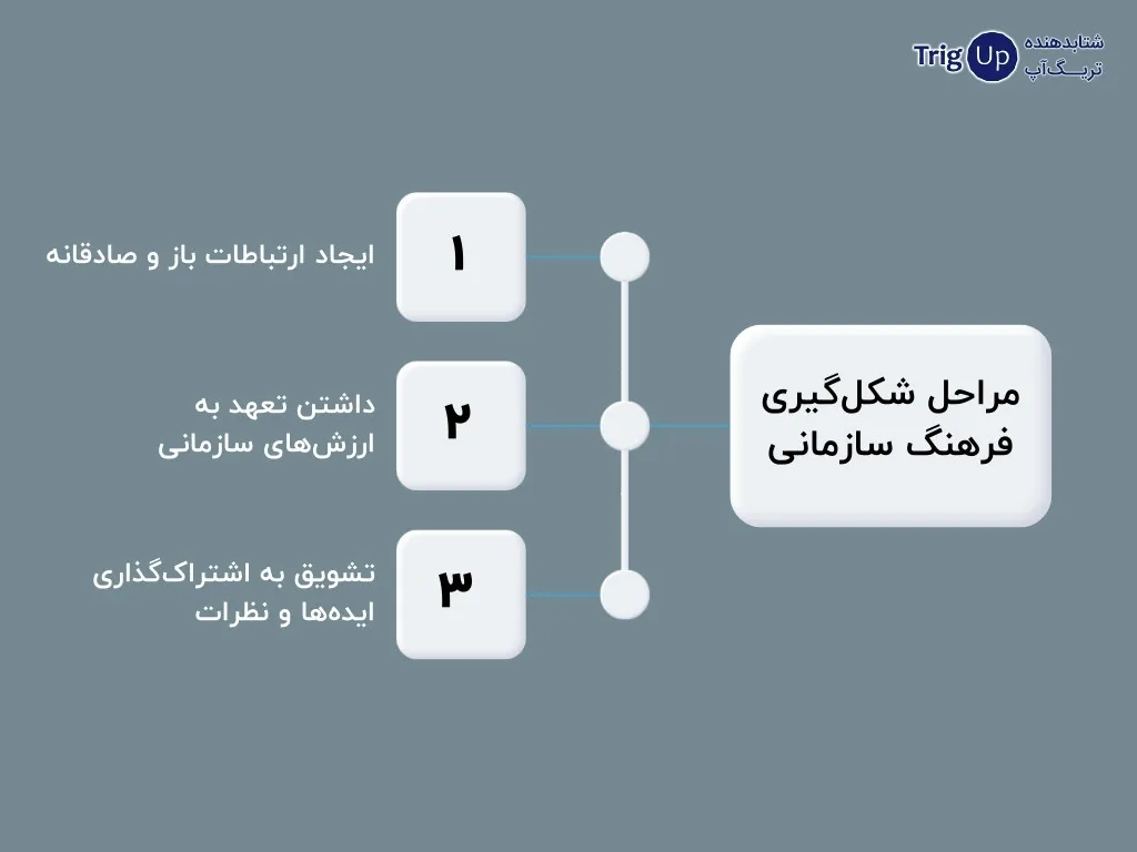 forming stages of organizational culture