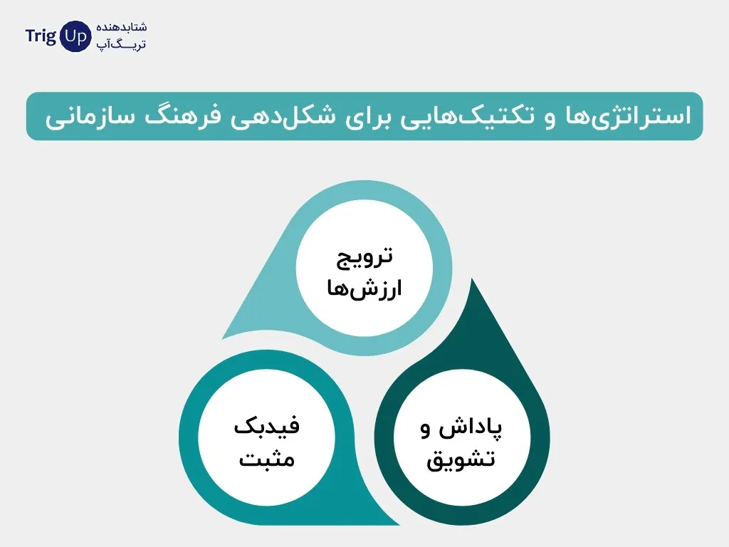 strategy for shaping organizational culture