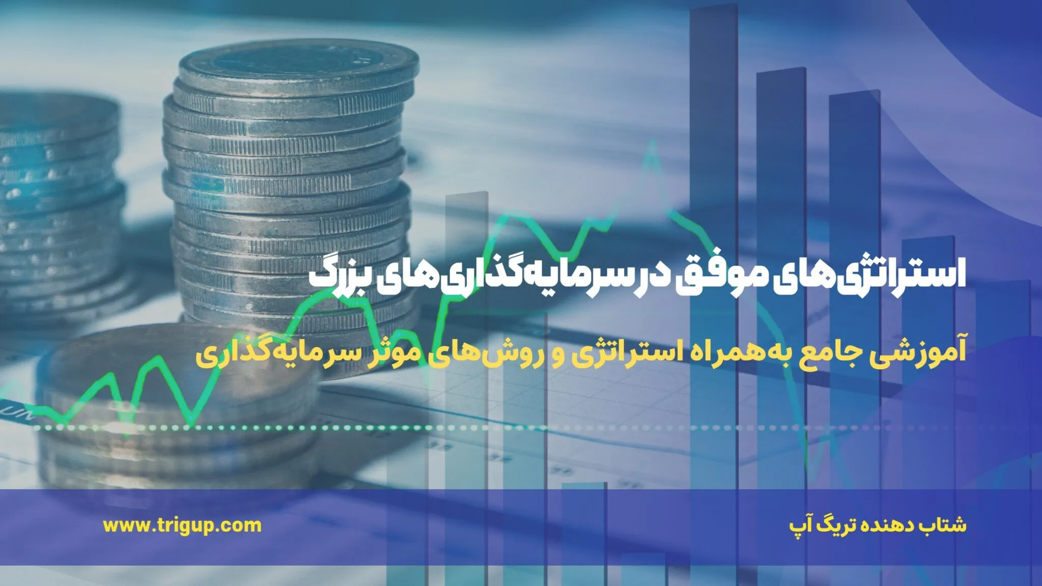 successful strategies in large investments