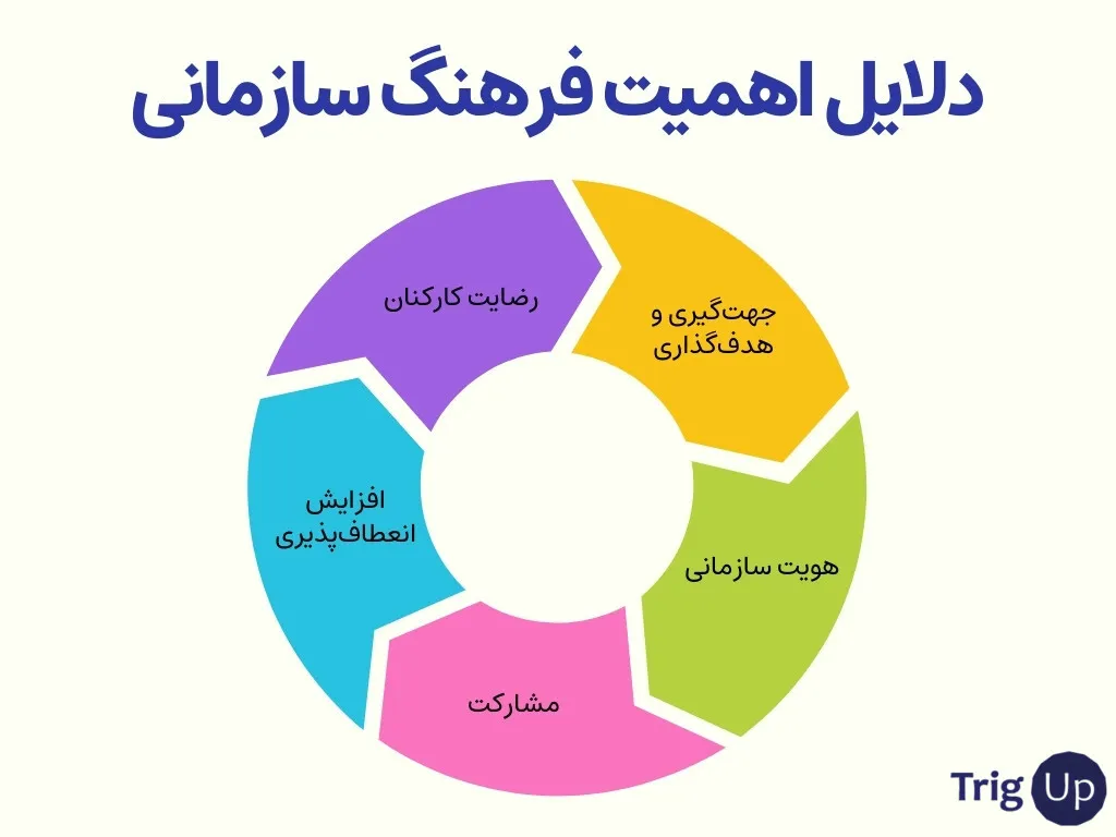 the importance of organization culture