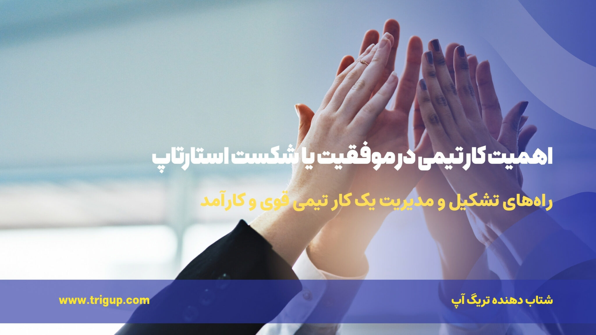the importance of teamwork in startup