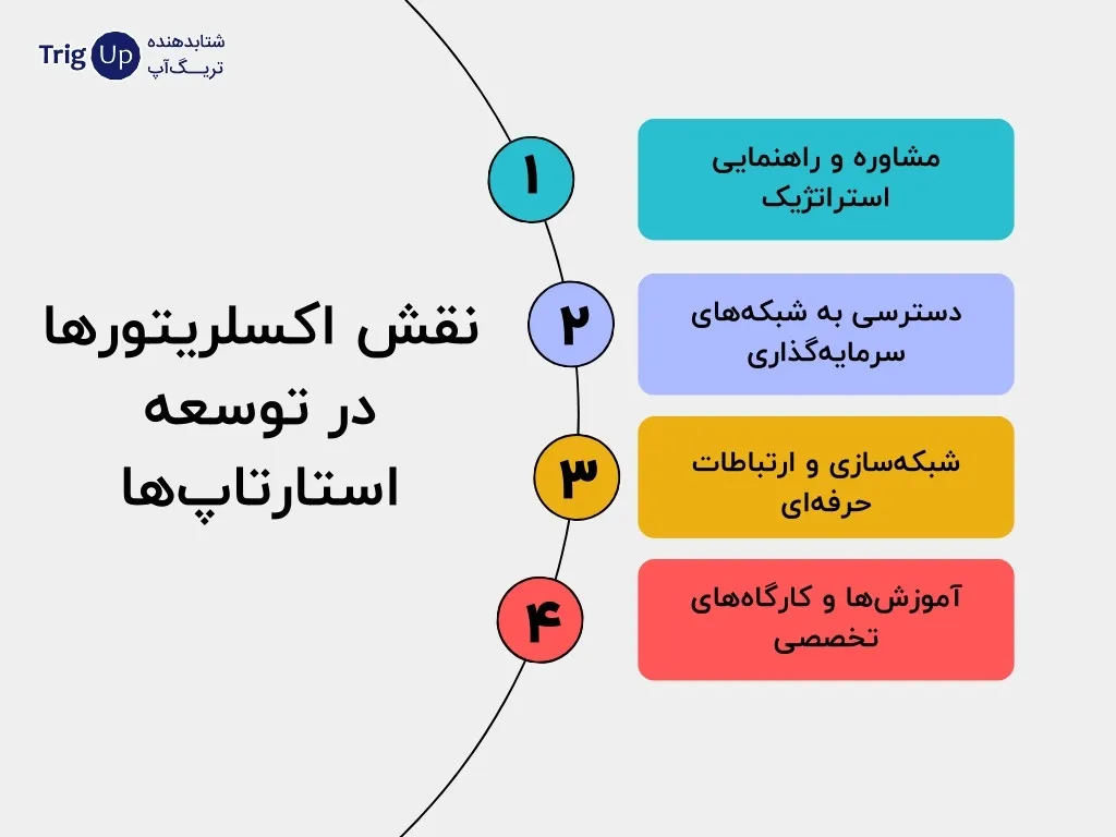 the role of accelerators in the development of startups