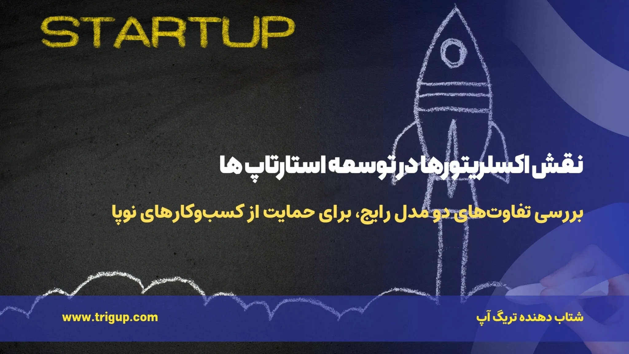 the role of accelerators in the development of startups