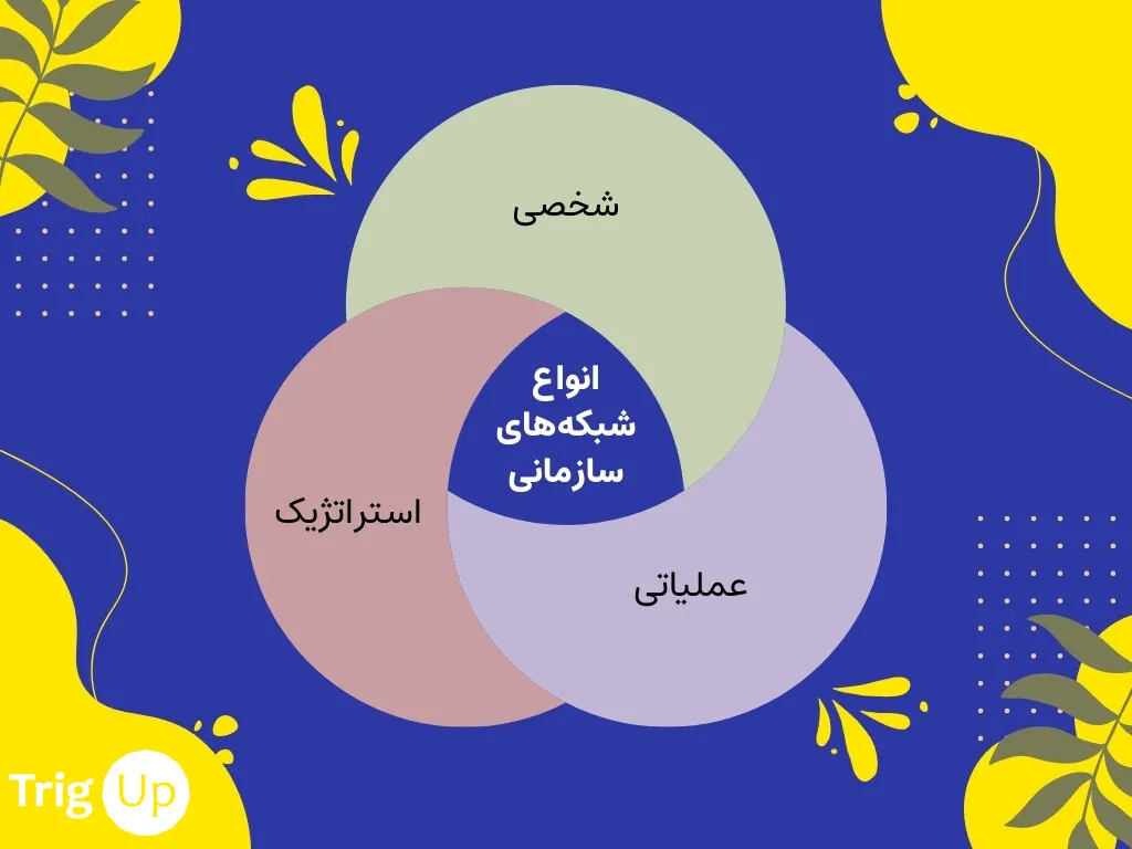 types of organization networks