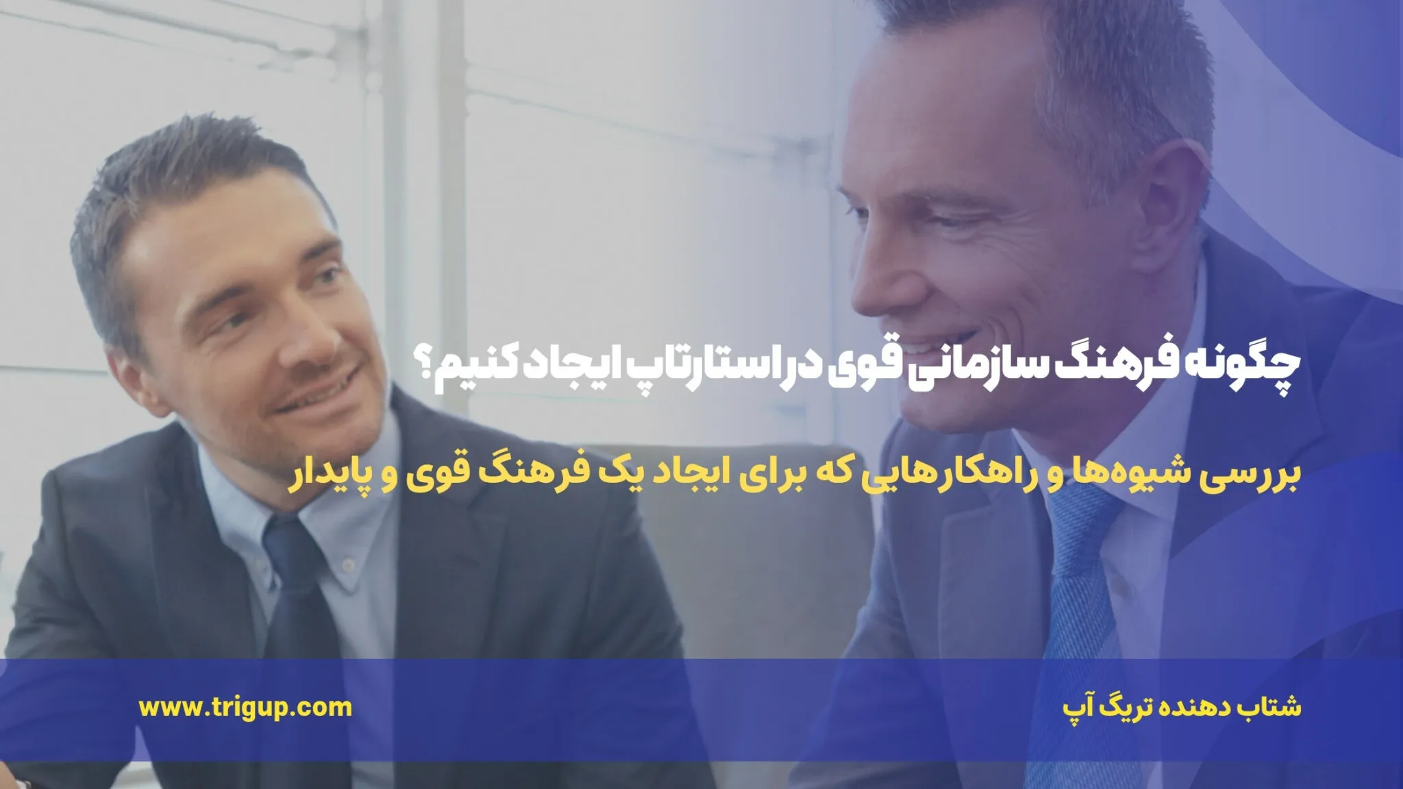 organizational culture in a startup