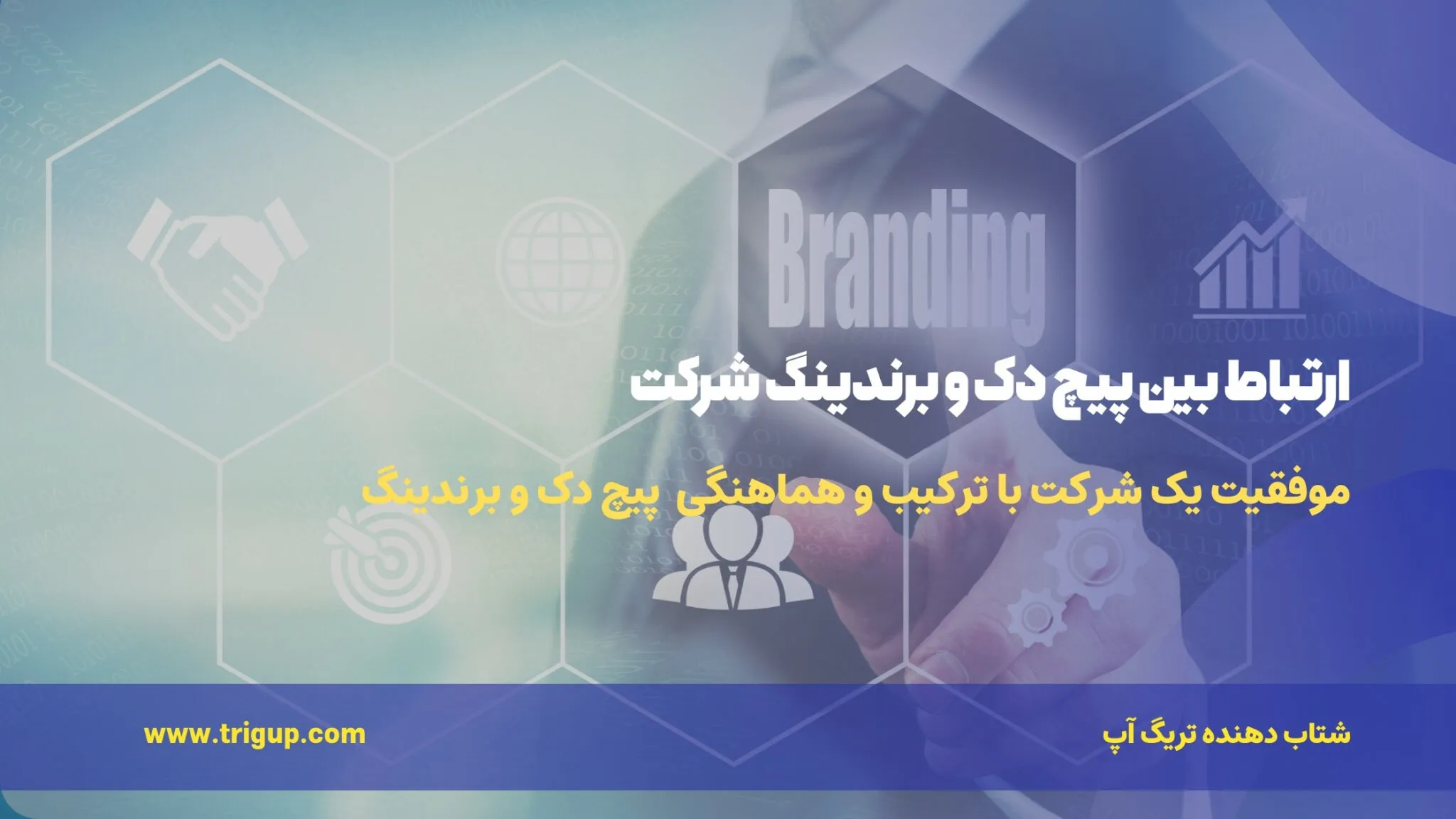pitch deck and company branding